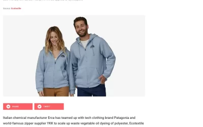 profashion.ru – Patagonia and YKK to switch to vegetable oil waste dye